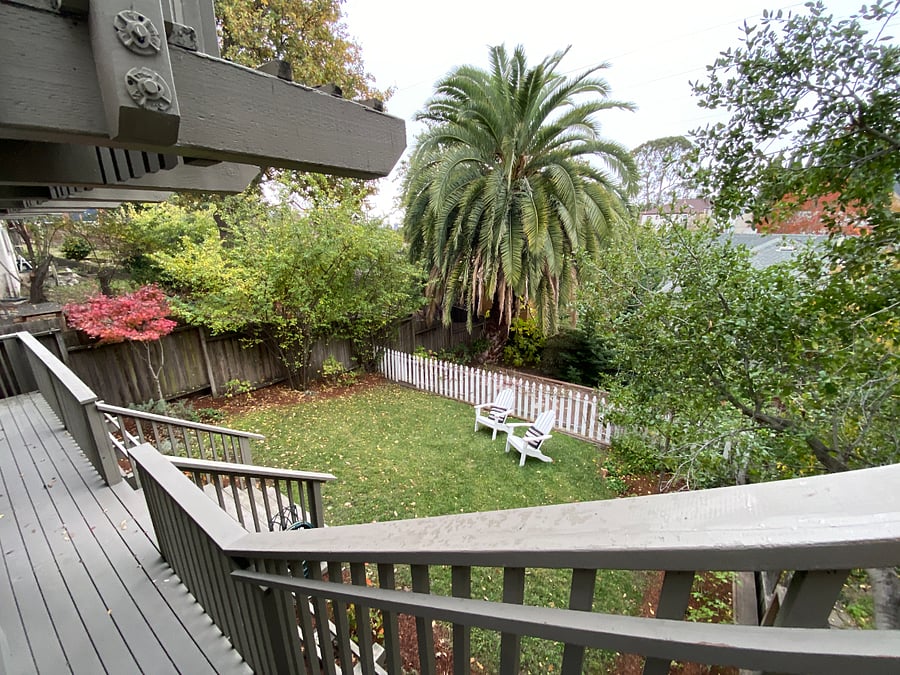 lovely backyard