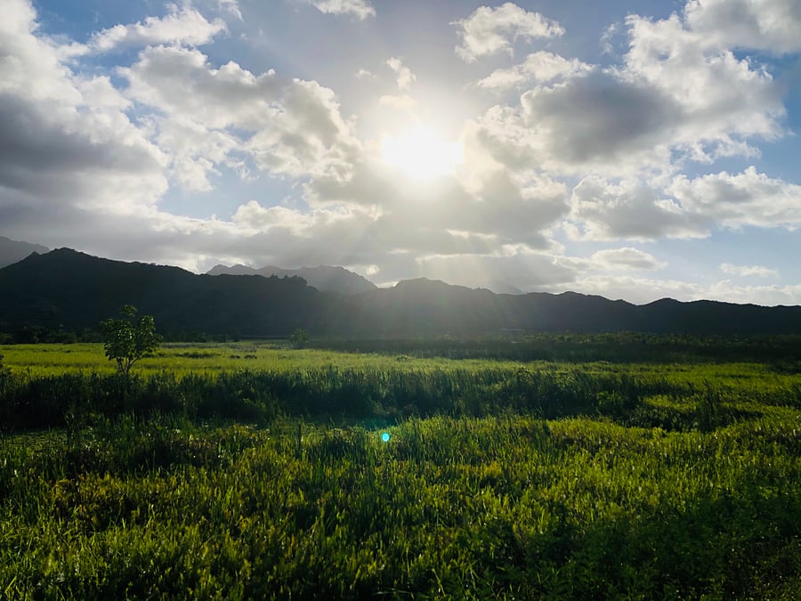Kailua Marsh trail 2.7 miles