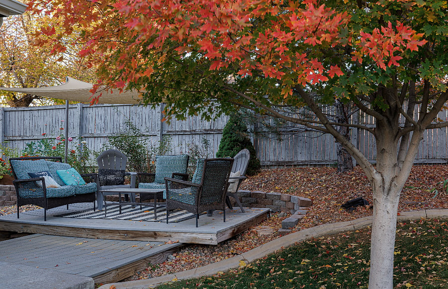 Backyard patio furniture (May-October)