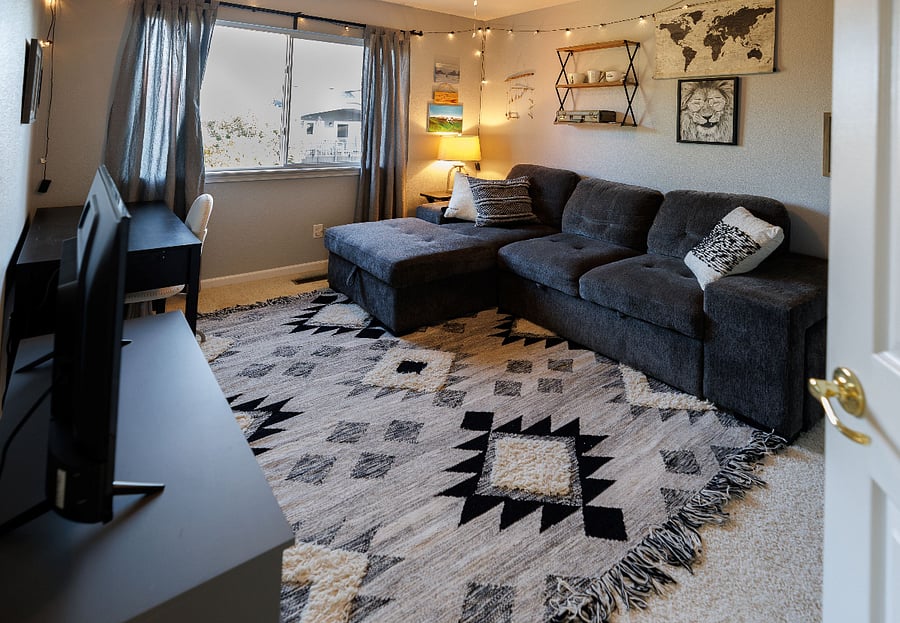 TV / Work room with pullout sleeper couch