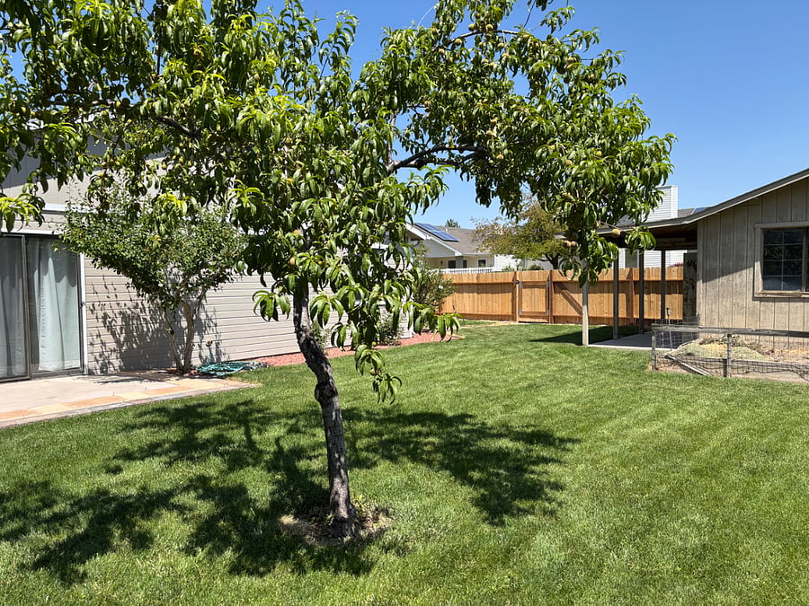 Furnished Finder property 795234_1 photo 28