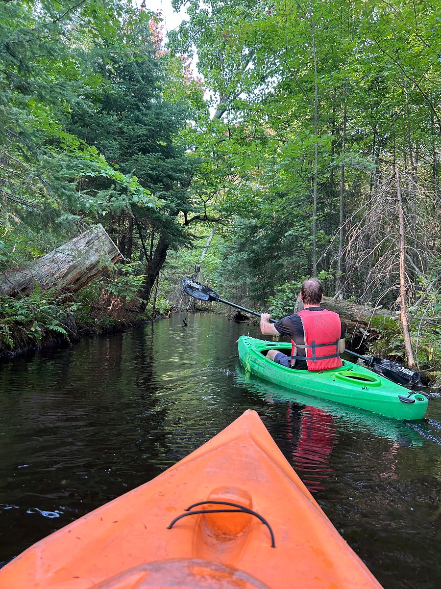 Kayaks are available for your use to explore the lake and islands.