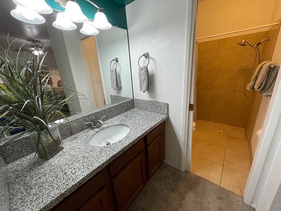 Walk-in shower in master bath.  