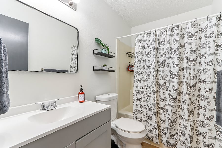 Furnished Finder property 795704_1 photo 9