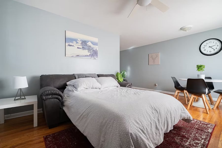Living room couch pull out