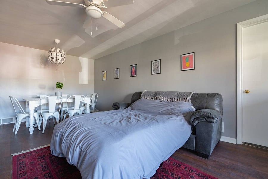 Living room pull out couch