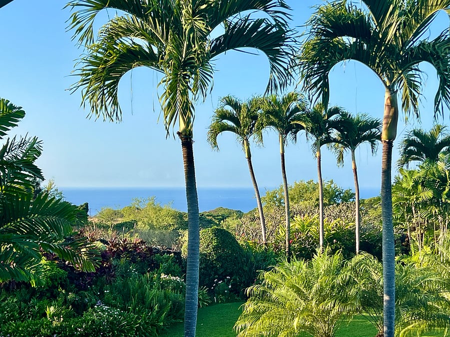 Ocean view - zoomed in