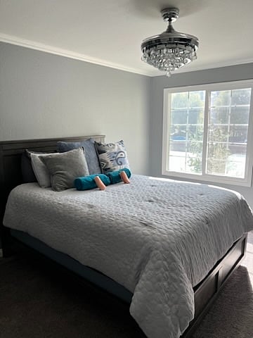 Furnished Finder property 796008_1 photo 15
