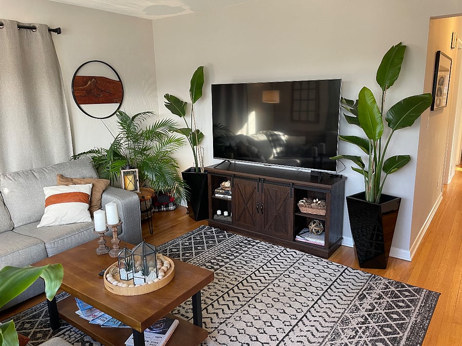 Furnished Finder property 796112_1 photo 4