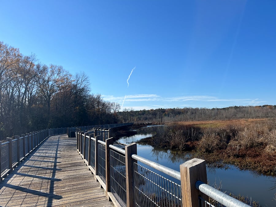 nearby Tuckahoe Creek Park