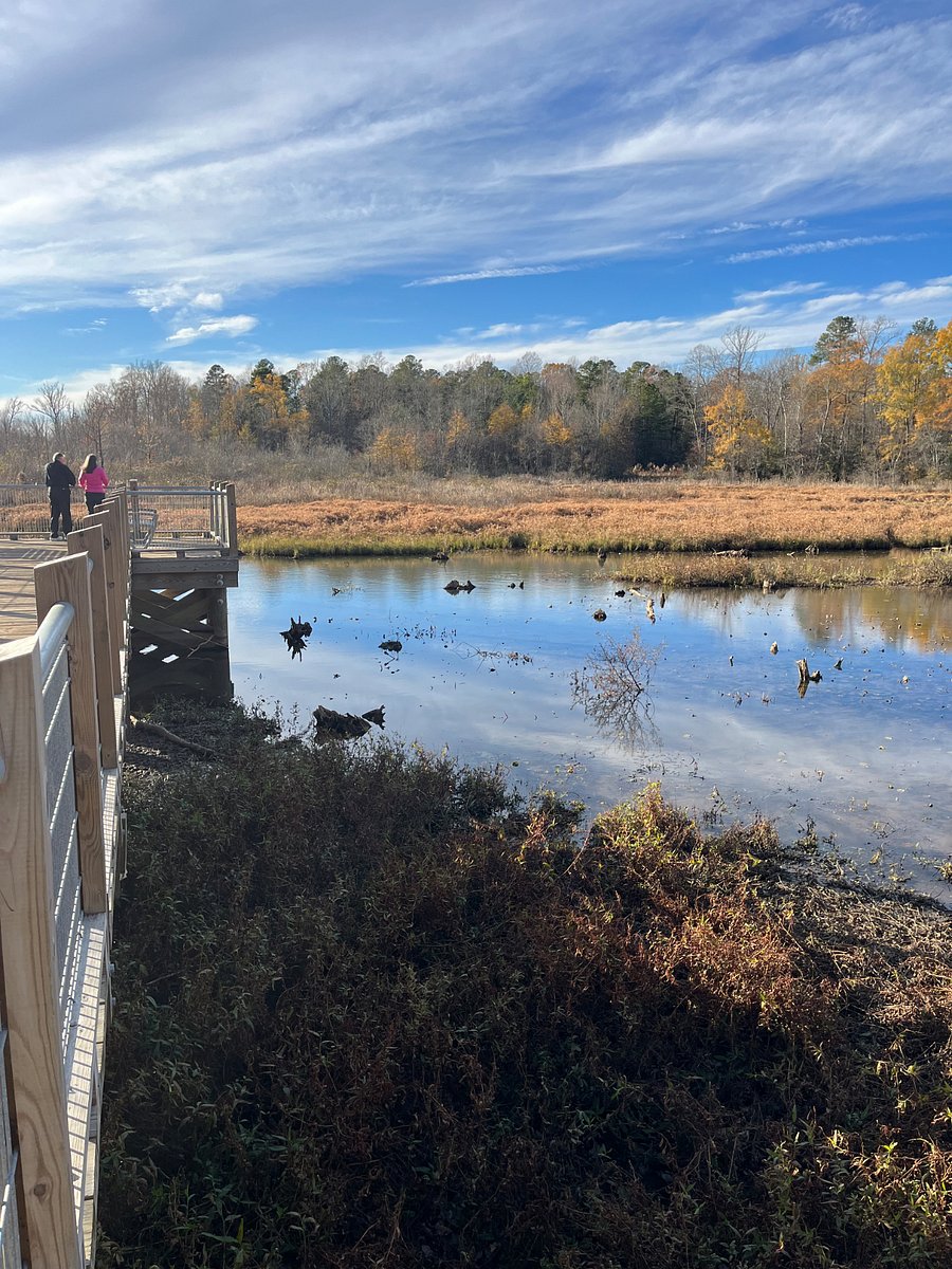 Nearby Tuckahoe Creek Park