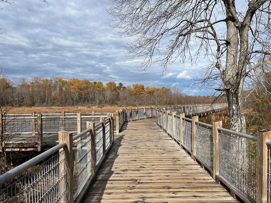 Nearby Tuckahoe Creek Park