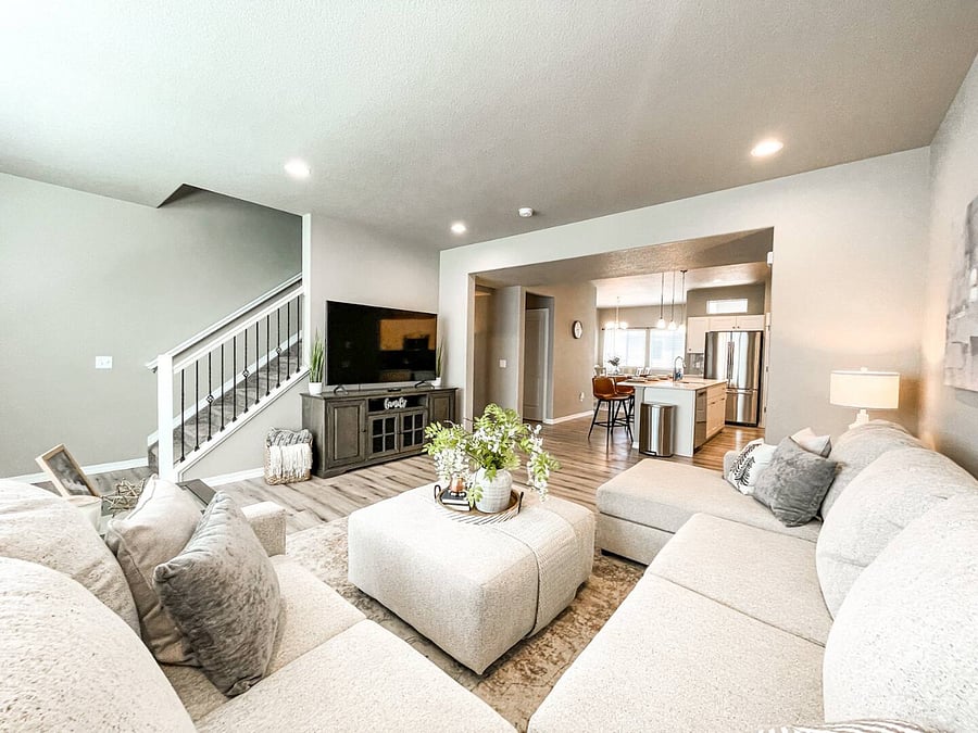 Living Room and Kitchen