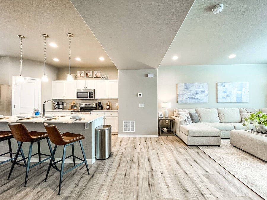 Living Room and Kitchen