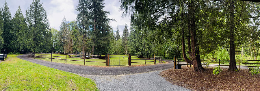 View from rentals driveway 