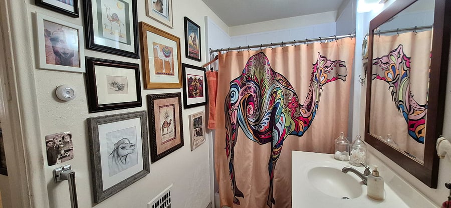 Furnished Finder property 796703_1 photo 18