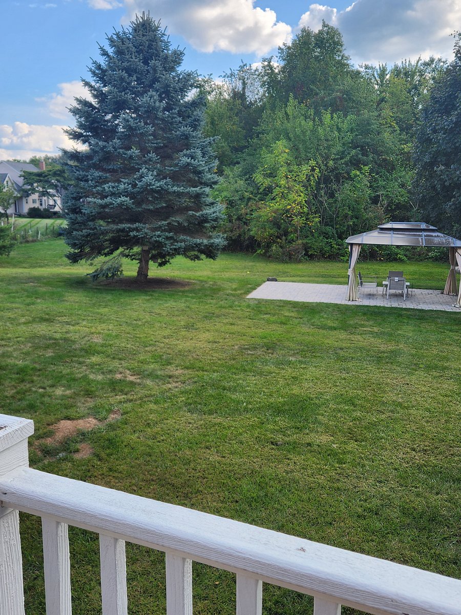 Furnished Finder property 796773_2 photo 16