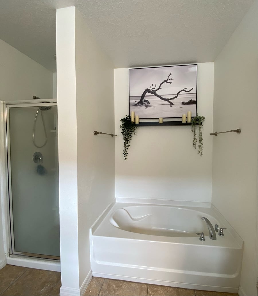 Master Bathroom (Shower & Garden Tub)
