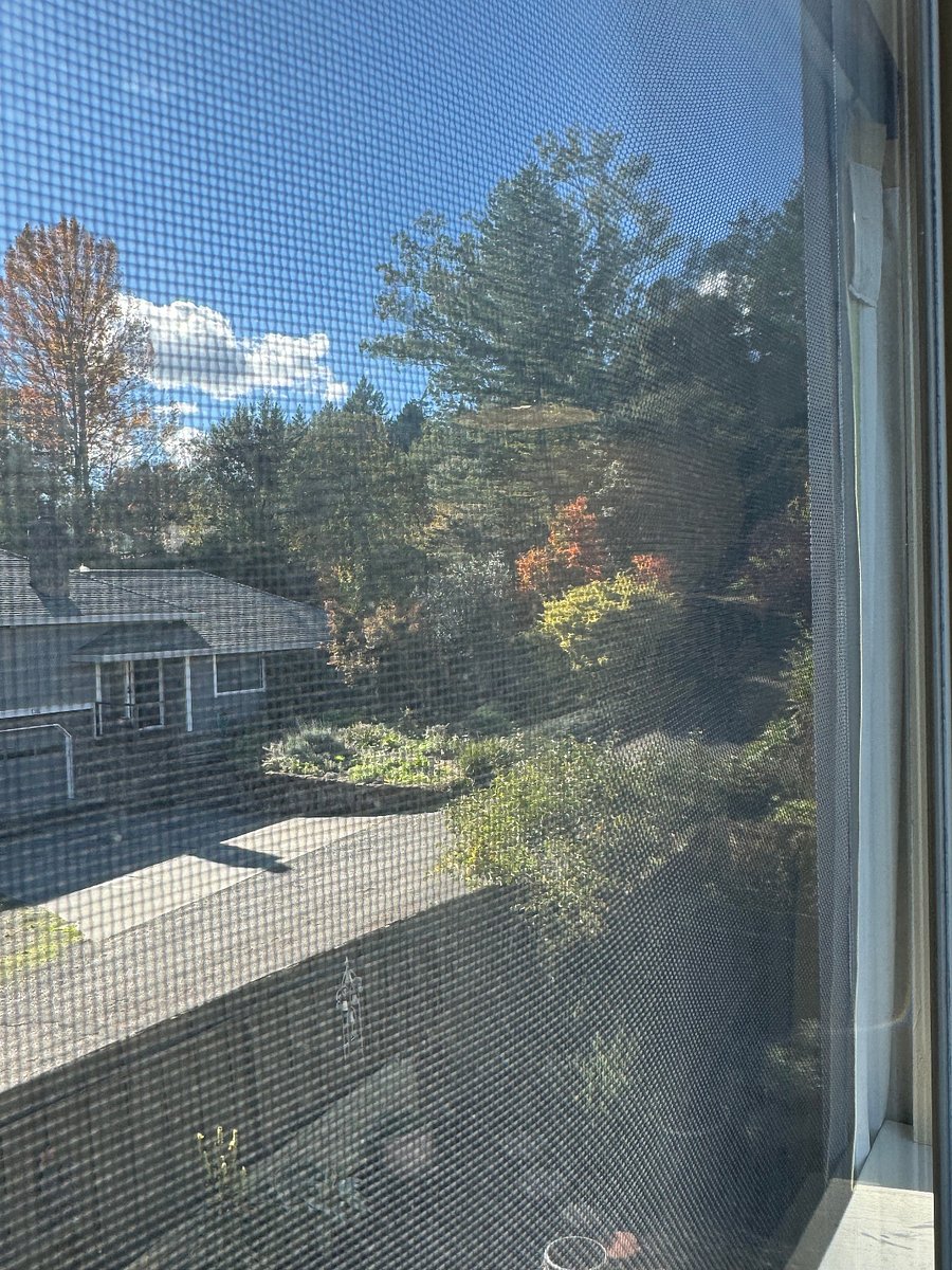 View, looking rightView .