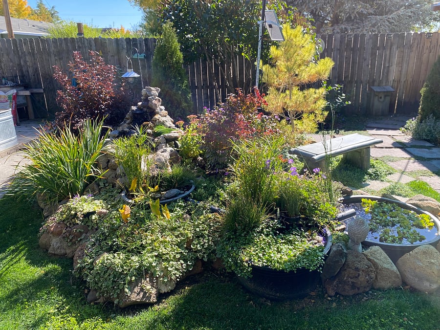 Waterfall and pond area