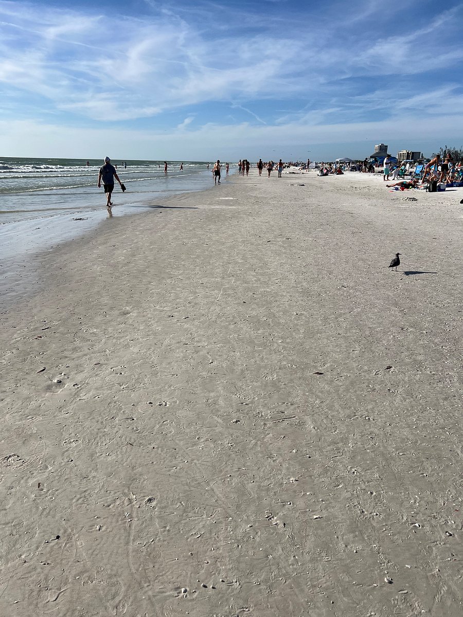 Walking Siesta Beach