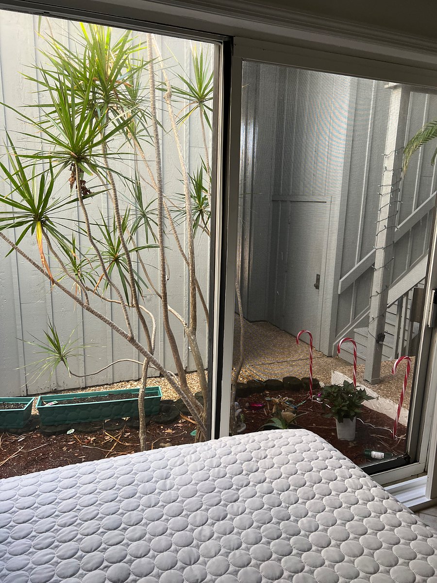 View from 2nd BR