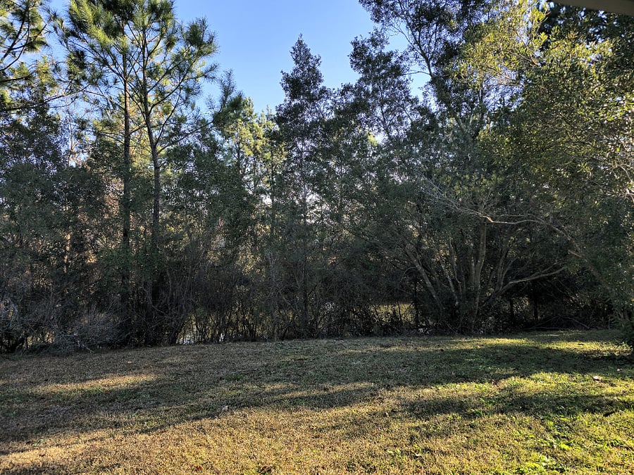 Backyard View