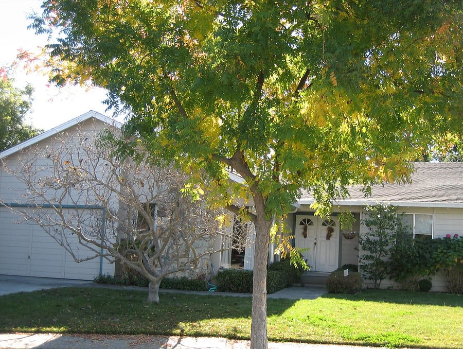 Furnished Finder property 797630_1 photo 7