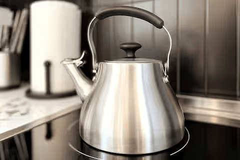 Stainless Steel Tea Kettle