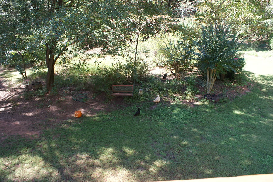 Furnished Finder property 797904_1 photo 14