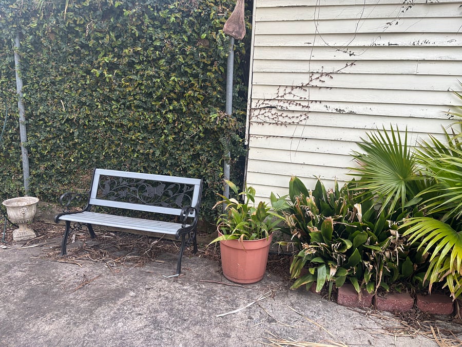 Bench to relax and enjoy the birds.