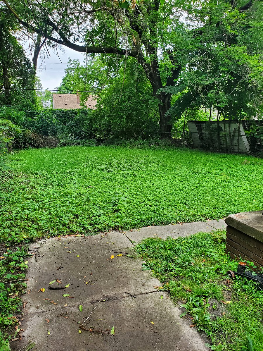 Furnished Finder property 797933_1 photo 26