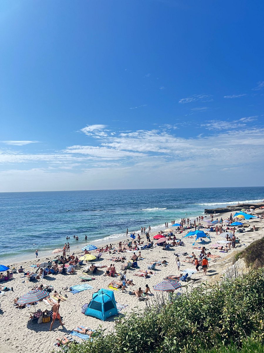 Windansea beach