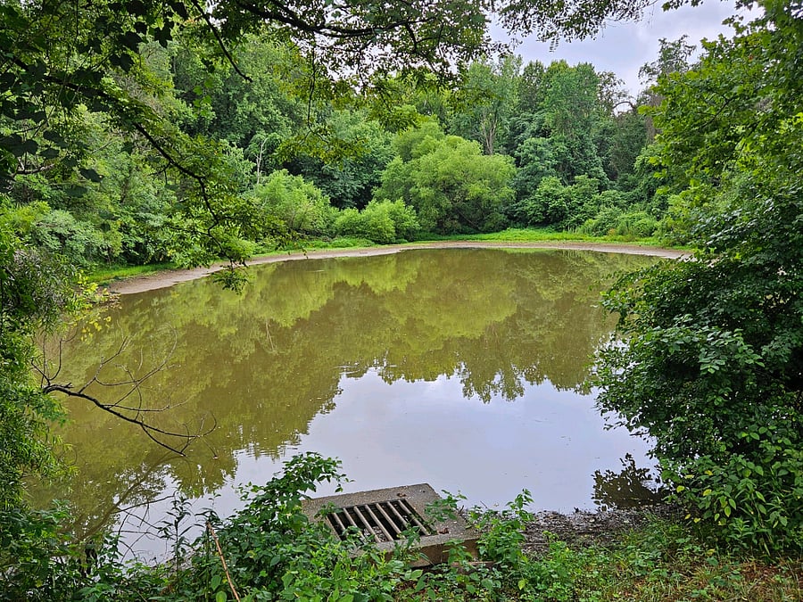 The neighborhood pond, a short stroll from the deck.