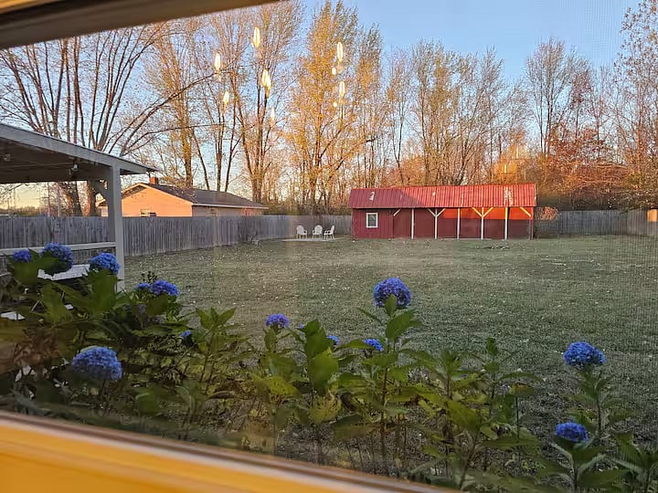 Beautiful view from inside the house to the backyard.