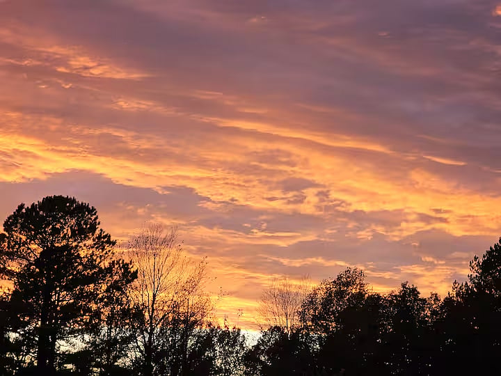 Steps from our front door is direct access to walking trails and Veteran's Park with breathtaking sunsets.