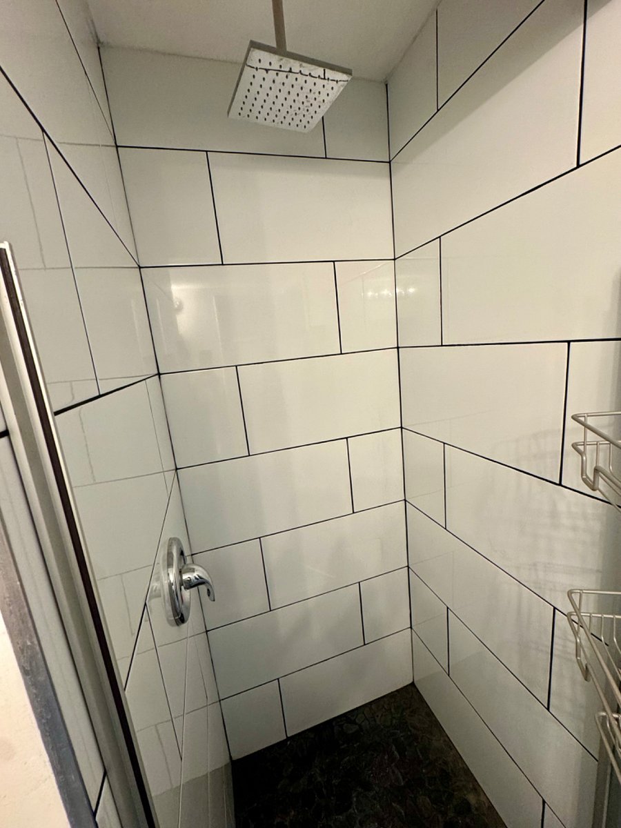 Rain Shower with Caddy