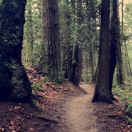 Steps away to beautiful hiking trails