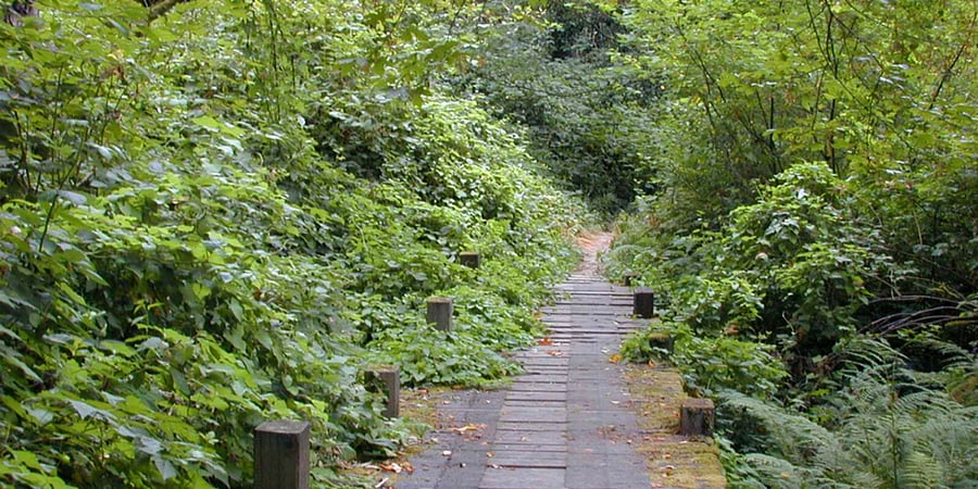 Hiking Trails Nearby