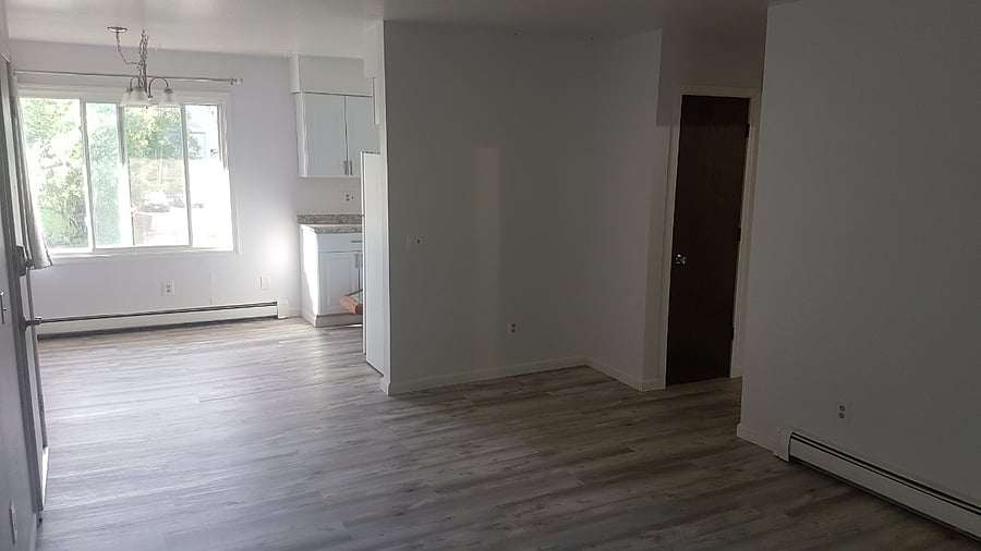 Living and Dinning/Office Area