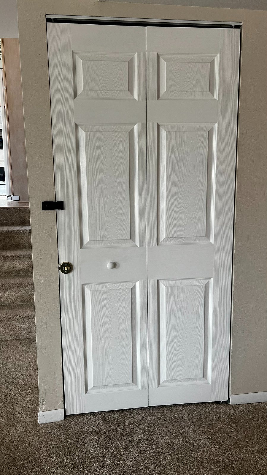 Private basement suite entrance door (shared main entrance upstairs).