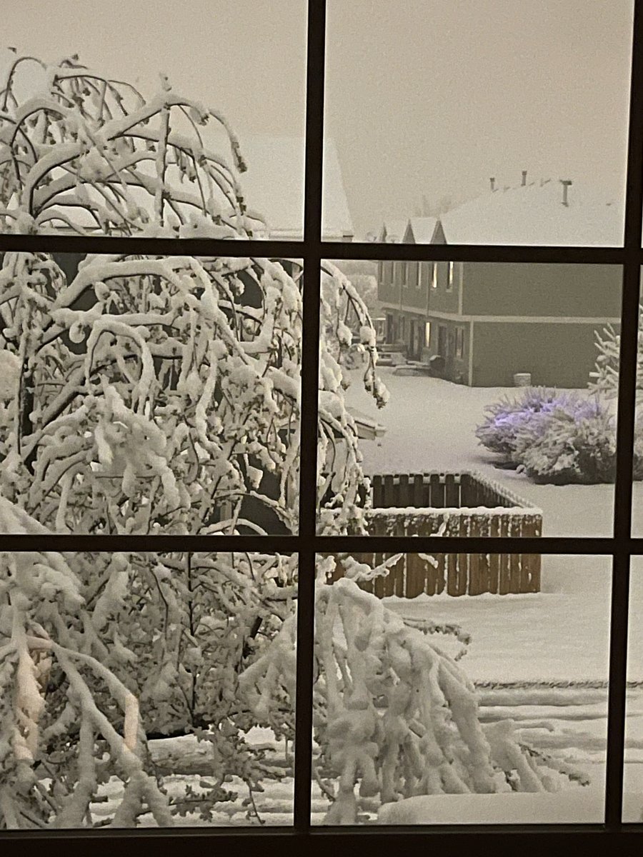 View from master bed window near desk