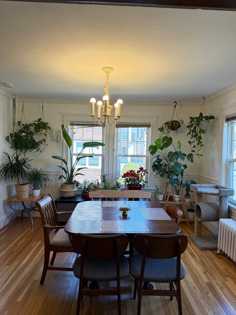 Furnished Finder property 799086_2 photo 4