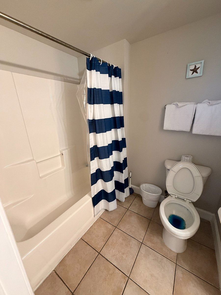 Furnished Finder property 799450_1 photo 27