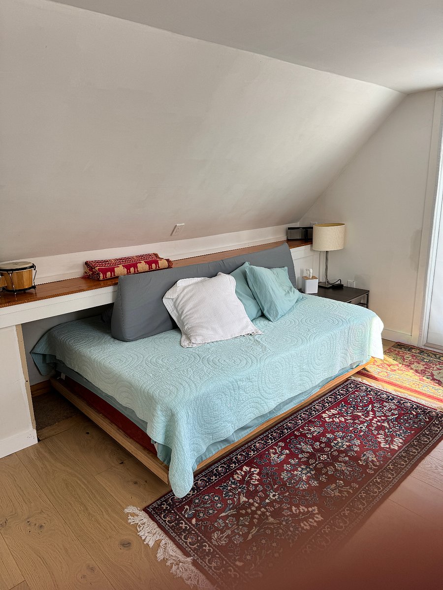 Queen bed that can slide in and out to serve as couch or bed.