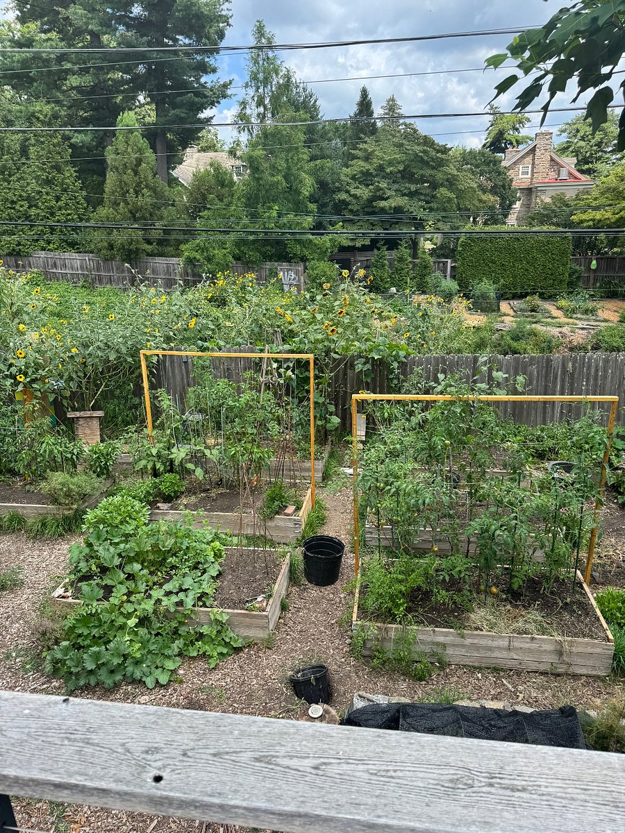 Beautiful Garden view from porch.