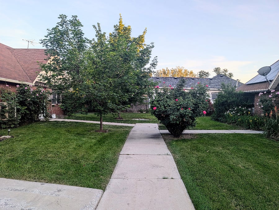 Walkway to Front door