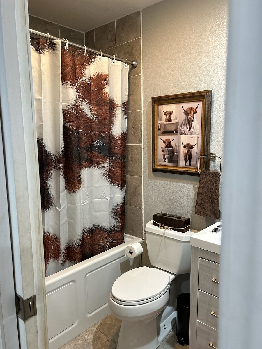 Furnished Finder property 799506_1 photo 9