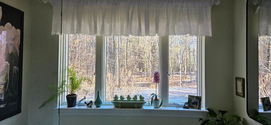 Bathroom window view