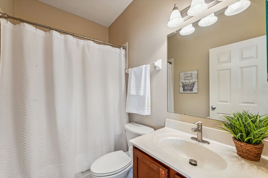 Furnished Finder property 799593_1 photo 17